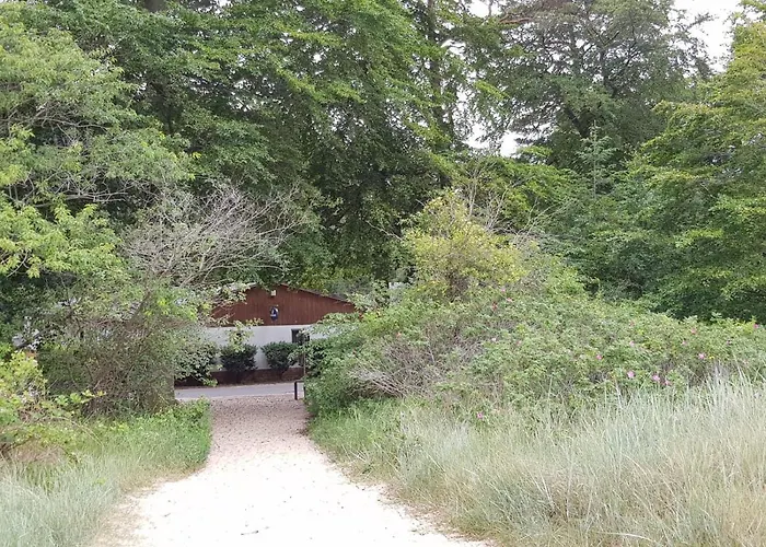 Duenenhaus - Gross - Zum 50m * Uckeritz